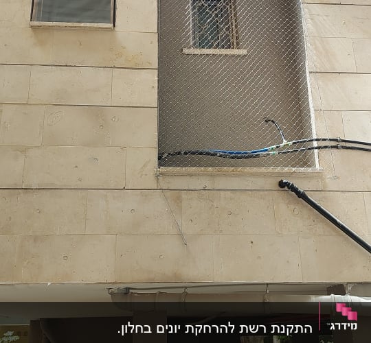 רשת מתכת מותקנת על חלון למניעת כניסת יונים